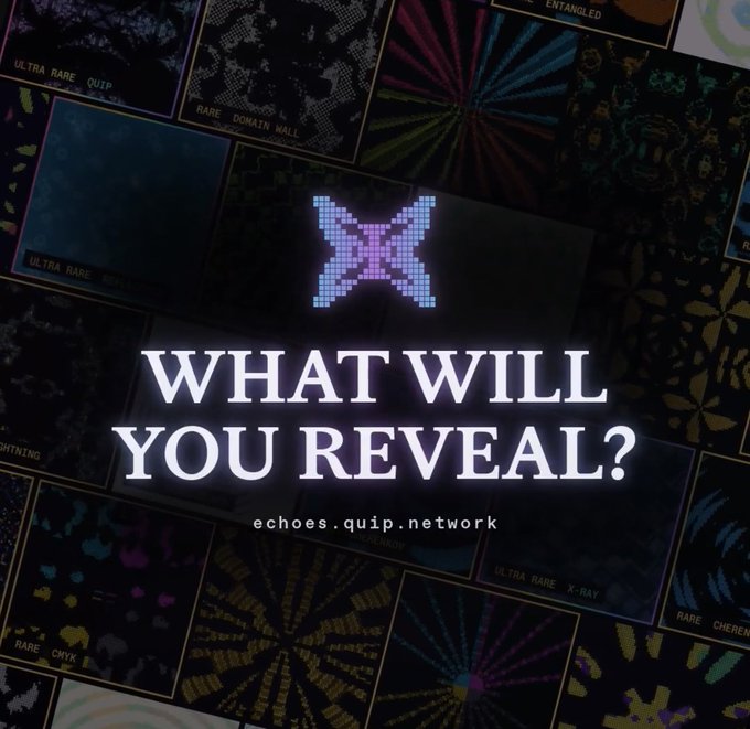 A pixelated "X" NFT artwork glows in the center of a grid displaying various rarity tiers (Ultra Rare, Rare, etc.) with visible labels like "QUIP," "DOMAIN WALL," and "ENTANGLED." Bold text reads "WHAT WILL YOU REVEAL?" above the URL "echoes.quip.network," inviting viewers to discover the dual-layer compute and on-chain experience described in the post.