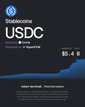 The image features a black background with white text that reads "Stablecoins USDC". In front of this text, there's an upward-pointing line, suggesting growth or progress. The caption above the line states that Hyperliquid surpassed $5,000,000,000 in less than one year. Below this, another text reads "THE STABLECROINS SUPPLY ON HYPERLIQUID", indicating a marketplace for Stablecoins where users can buy and sell digital assets.