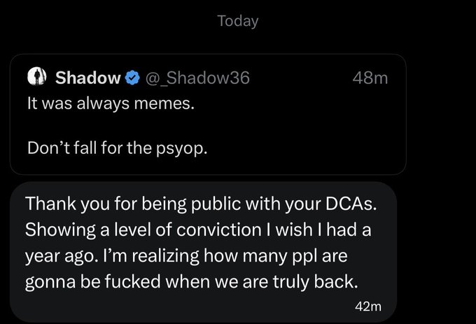A screenshot of a Twitter exchange featuring user @_Shadow36 responding to a post about DCA (dollar-cost averaging) and conviction in holding investments. Shadow's tweet reads "It was always memes. Don't fall for the psyop," followed by a reply thanking him for being public with his DCAs and warning that many people "are gonna be fucked when we are truly back."