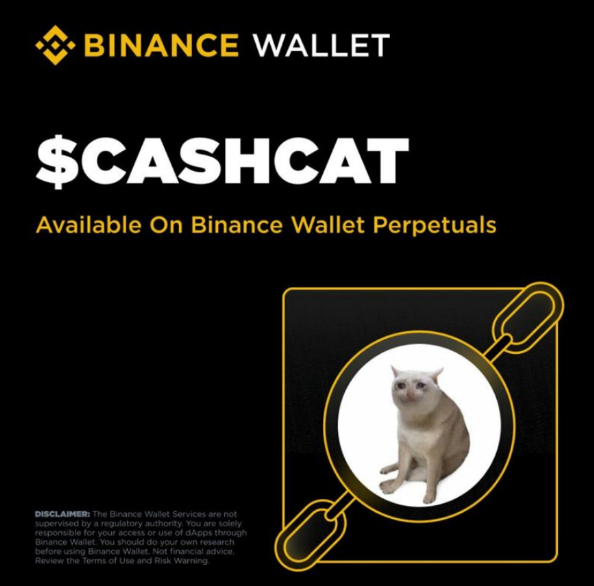 A Binance Wallet promotional graphic for '$CASHCAT' featuring a white cat inside a magnifying glass design, noting it is 'Available On Binance Wallet Perpetuals.'