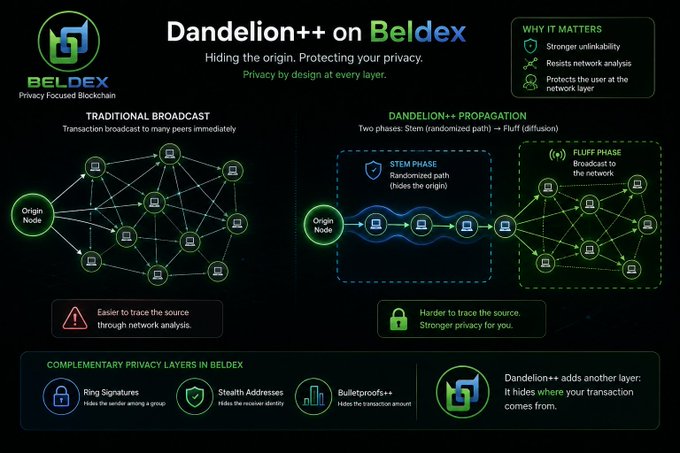 An infographic titled 'Dandelion++ on BelDex' explaining how Dandelion++ propagation provides privacy by hiding transaction origins through stem and fluff phases, comparing it to traditional broadcast methods and listing complementary privacy layers like Ring Signatures, Stealth Addresses, and Bulletproofs++.