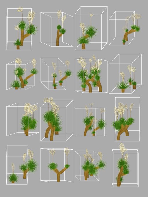 A grid of fifteen wireframe boxes containing 3D models of desert plants with brown trunks, spiky green leaves, and pale yellow flower stalks.