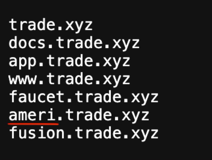 White text on a black background listing various trade.xyz subdomains including trade.xyz, docs.trade.xyz, app.trade.xyz, www.trade.xyz, faucet.trade.xyz, ameri.trade.xyz (with 'ameri' underlined in red), and fusion.trade.xyz.