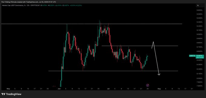 This chart shows the Market Cap USDT.D (USDT Dominance) from May to August 2023, with key resistance and support levels indicated. The accompanying post suggests that a rejection of USDT.D at these levels could signal a relief rally for BTC and the broader crypto market.