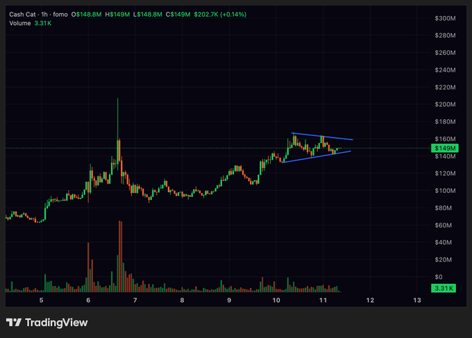 A TradingView 1-hour chart for $CashCat (FOMO) shows a price of $202.7K with a 0.14% gain, highlighting a bullish ascending triangle pattern forming between roughly $140M and $160M support/resistance levels. Volume stands at 3.31K, indicating potential breakout momentum for the $cashcat token.
