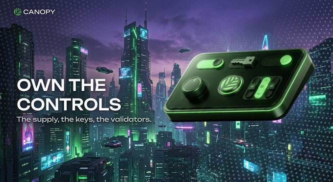 The image features a green game controller with a city skyline in the background. Below the controller, there's text that reads "OWN THE CONTROLS", which suggests that the controller has some sort of control or power over the city depicted on the screen. The caption above the controller mentions that buying tokens often gives an illusion of control but actually provides limited access to the underlying system. This implies that the game controller might have certain powers, but they are not fully accessible due to the need for tokens.