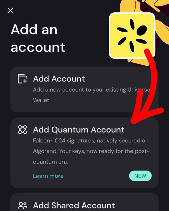 Mobile app interface titled "Add an account" showing options including "Add Account" and "Add Quantum Account" (Falcon-1024 signatures, natively secured on Algorand), with a red hand-drawn arrow pointing toward it.