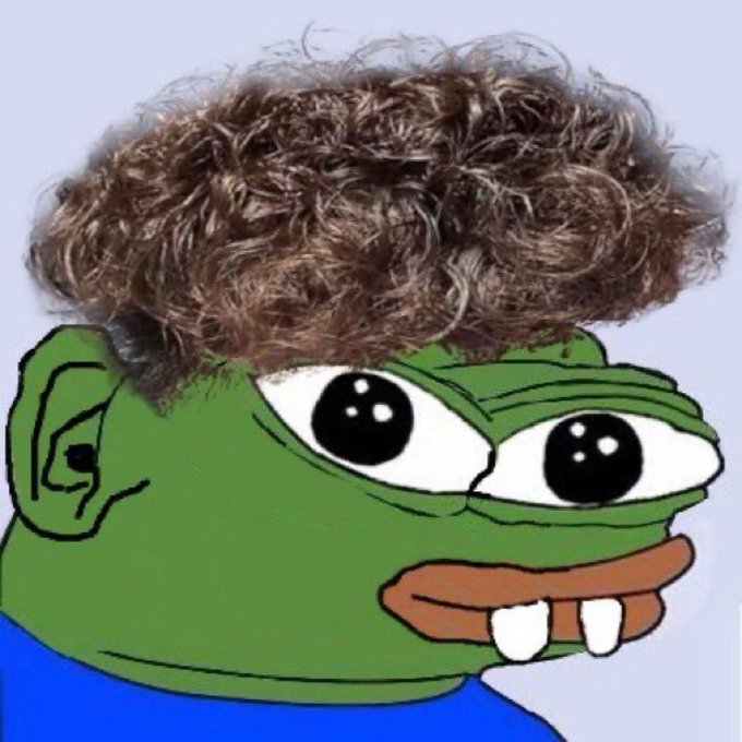 A classic Pepe the Frog meme face with photoshopped curly brown hair on top, set against a light blue background.