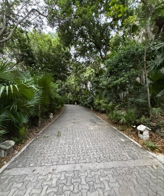 A winding stone pathway through lush tropical foliage, seemingly inviting a peaceful stroll into the greenery. The image's hidden trails and abundant vegetation tie into the post's hint about "Nature's Ozempic" making its rounds, suggesting a connection to the natural, untamed environment referenced in the message.