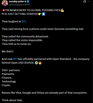 A tweet from @sundaypeter911 announces that $PI is moving from 'MOCKERY TO GLOBAL POSSIBILITIES' and has officially partnered with Open Standard (OUSD), listing over 200 partners.