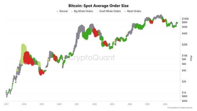 A CryptoQuant chart titled 'Bitcoin: Spot Average Order Size' tracking transaction categories (Normal, Big Whale, Small Whale, Retail) from 2017 to 2026 against Bitcoin's price ranging from $600 to $100K.