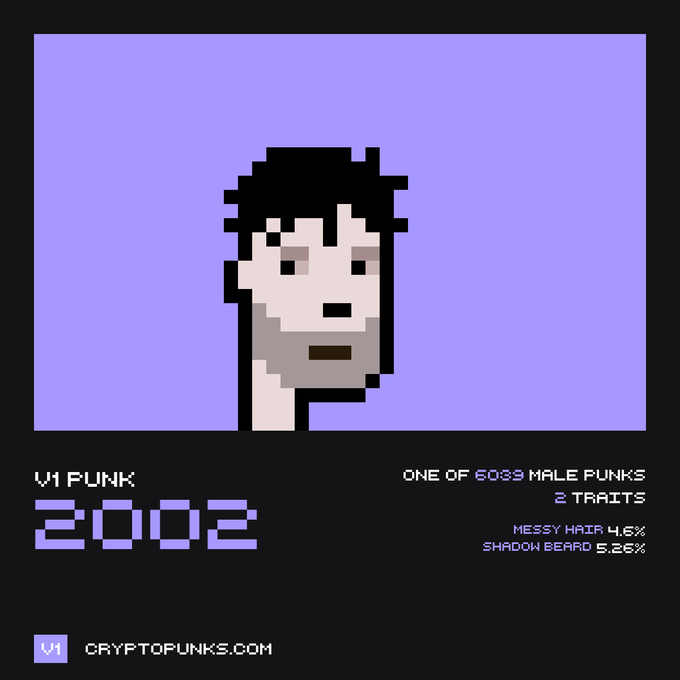 CryptoPunks NFT profile showing 'V1 Punk #2002', described as 'One of 6039 Male Punks' with 2 traits: Messy Hair (4.6%) and Shadow Beard (5.2%).