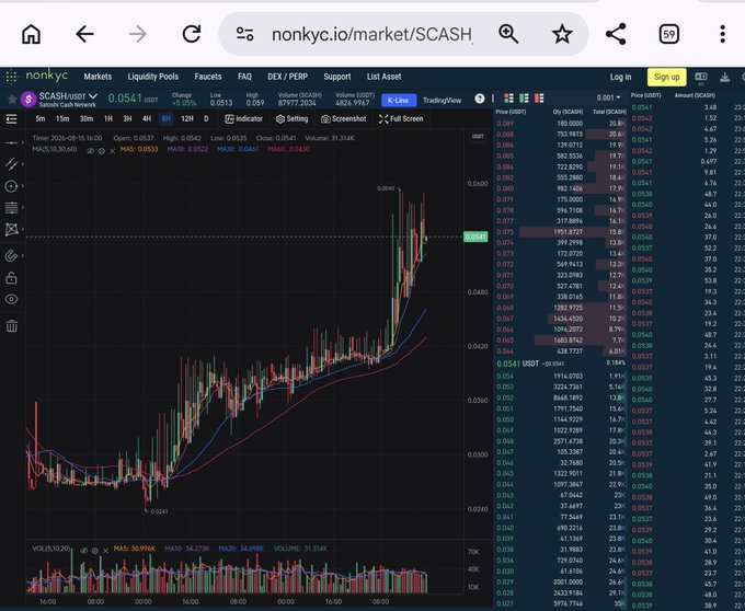 A screenshot of a cryptocurrency trading platform (nonkyc.io) showing the SCASH/USDT trading pair chart with candlestick patterns, price data, and order book information on the right side.