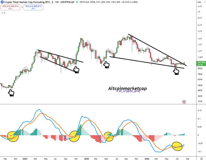 A Crypto Total Market Cap chart excluding BTC showing a descending triangle pattern with annotations and a MACD indicator below, sourced from Altcoinmarketcap.com.