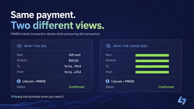 The image shows a screenshot of a webpage for Litecoin Foundation's native gift card purchases, with two different views available - one view shows the transaction details while the other display information about the status of the transactions.
