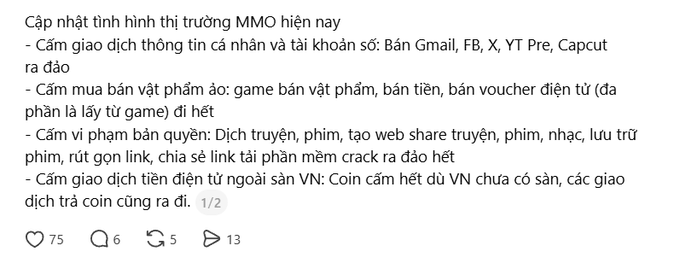 A screenshot of Vietnamese text discussing the current MMO market situation, listing prohibitions on trading personal accounts, buying/selling virtual items, piracy, and electronic money transactions outside of Vietnam.
