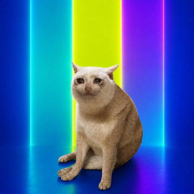 A cream-colored cat sits against a vibrant neon backdrop of blue, cyan, yellow, and purple vertical light bars. The colorful, meme-worthy visual echoes the playful spirit of the $CASHCAT post, which highlights how the token is accessible across multiple platforms like Robinhood Crypto, Solana, and Hyperliquid.