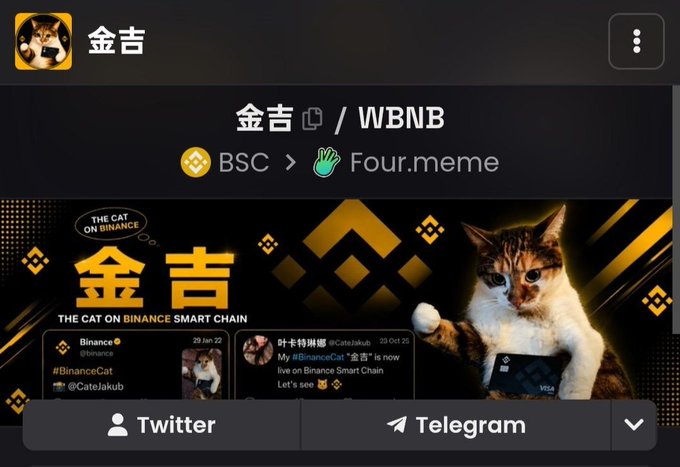 A mobile app screen for the cryptocurrency '金吉 / WBNB' on BSC via Four.meme, featuring a cat mascot and links to Twitter and Telegram.