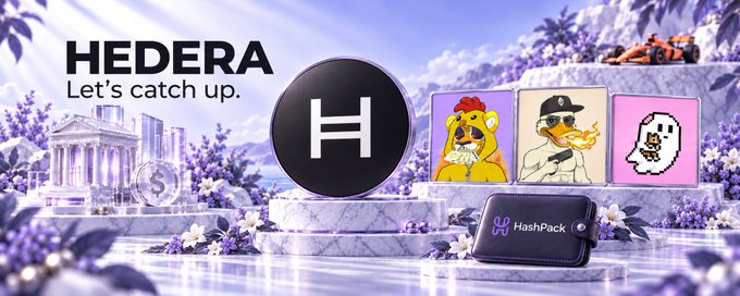 A Hedera promotional banner says “HEDERA Let’s catch up.” and features the Hedera logo, NFT-style character panels, and a HashPack wallet.