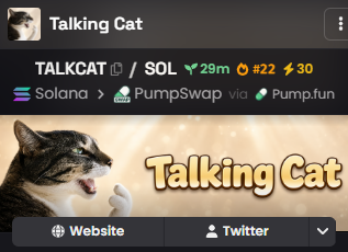 Talking Cat meme token profile on Solana, shown via PumpSwap through Pump.fun, priced at $0.000029 with a market cap of $29m, rank #22, and 30 holders.