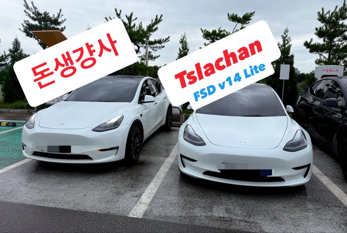 Side-by-side comparison of two white Tesla cars in a parking lot, labeled in Korean '돈생강사' (Money Life Teacher) and 'Tslachan FSD v14 Lite'.