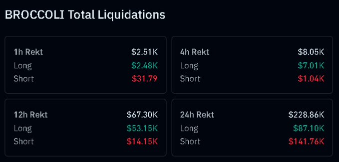 A dashboard showing BROCCOLI Total Liquidations across different timeframes: 1h ($2.51K), 4h ($8.05K), 12h ($67.30K), and 24h ($228.86K), broken down by Long and Short positions.