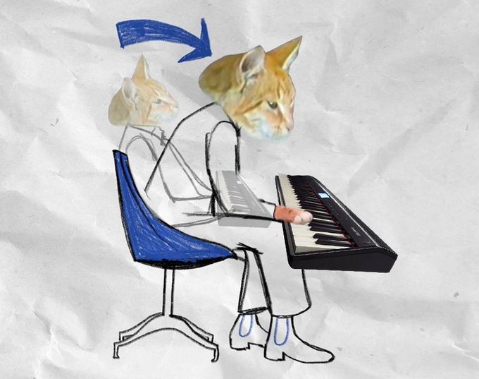 A cat with a human body plays a keyboard with an arrow indicating an upward motion, while another cat head in the background points forward, suggesting the playful growth of "$KEYCAT."