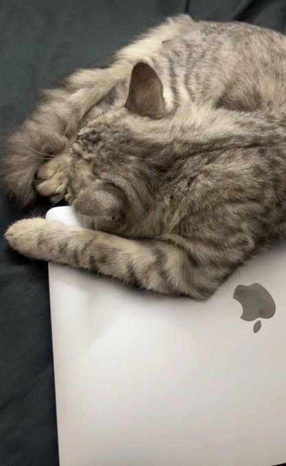 [caption-failed: minimax unavailable]