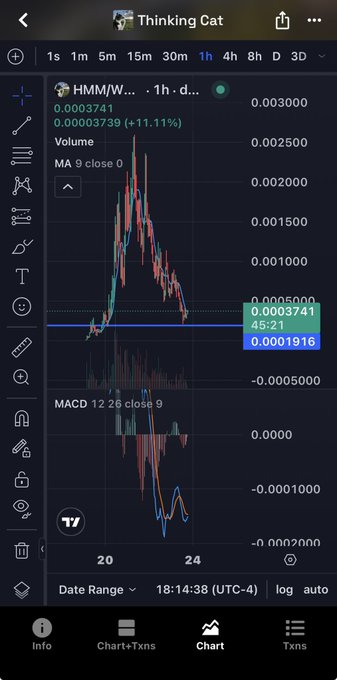 A TradingView chart titled "Thinking Cat" displaying the HMM/W... ticker on a 1-hour timeframe, showing a recent price of $0.0003741 (+11.11%) with a sharp sell-off followed by consolidation around $0.0001916-$0.0005000, accompanied by an MACD indicator showing potential bullish divergence. The chart visually supports the post's claim of a bullish divergence pattern and familiar distribution sell-off, though the current price remains far from the $300k target mentioned.