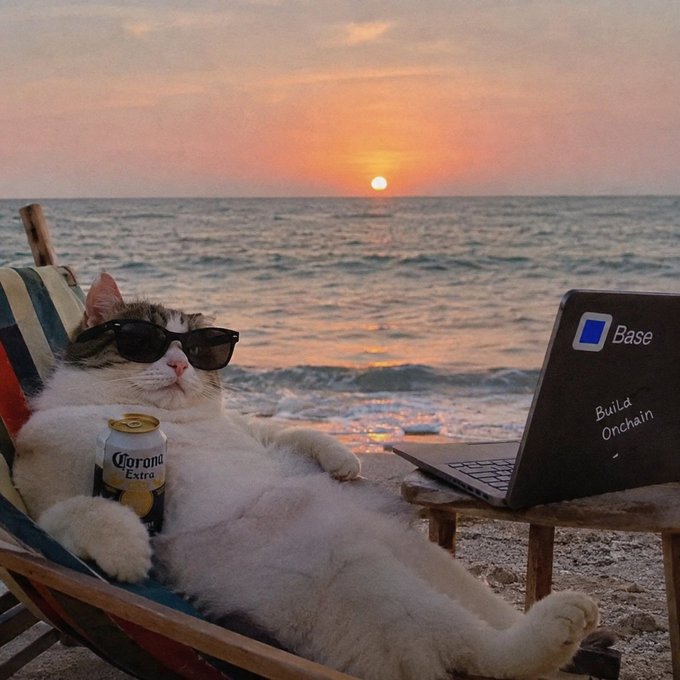A cat wearing sunglasses relaxes on a beach chair holding a Corona Extra can, with a laptop displaying "Base - Build Onchain" beside it at sunset.