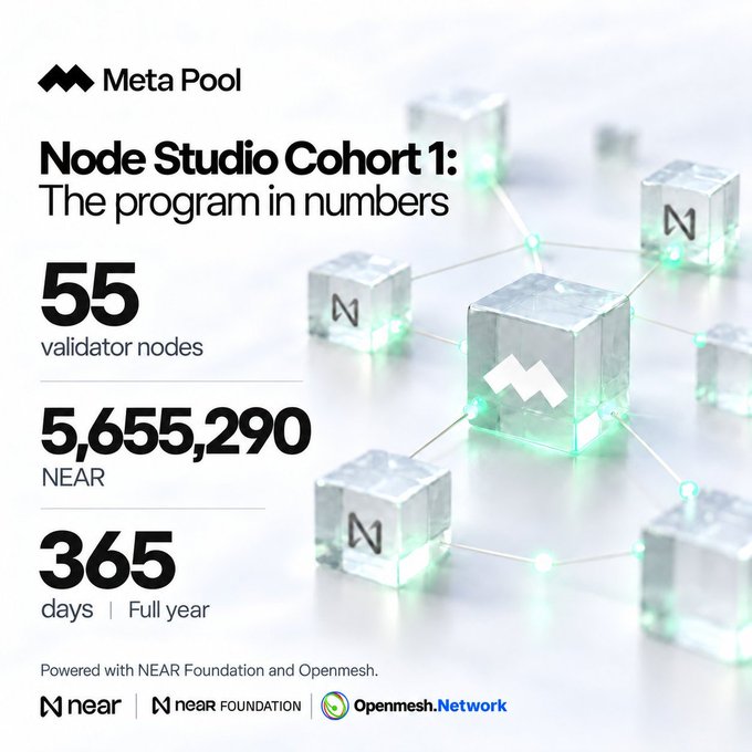An infographic for Meta Pool's 'Node Studio Cohort 1: The program in numbers' highlighting 55 validator nodes, 5,655,290 NEAR, and 365 days, powered by NEAR Foundation and Openmesh.