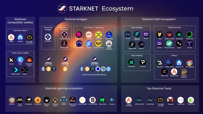 A promotional graphic outlining the Starknet ecosystem, featuring sections on Starknet-compatible wallets (e.g., Braavos, Ready), bridges (e.g., StarkGate, Layerswap), DeFi (e.g., Ekubo, Nostra), gaming projects (e.g., Pixelmind, Doom), and top tools (e.g., AVNU, StarkScan). The post highlights Starknet's strkBTC, a privacy-focused Bitcoin bridge that allows users to transact with BTC from their own wallet while keeping activity shielded from public view, aligning with the bridge section of the ecosystem diagram.