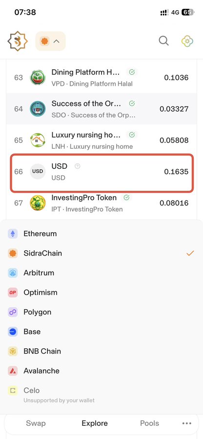 A mobile screenshot of a crypto wallet app showing a token list, with a red box highlighting "USD" at a price of "0.1635" above other networks like Ethereum and SidraChain.