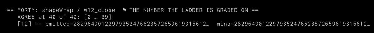 A terminal output showing a FORTY shapeWrap contract summary stating 'THE NUMBER THE LADDER IS GRADED ON: AGREE at 40 of 40: [0 ... 39]' with a random seed number displayed.