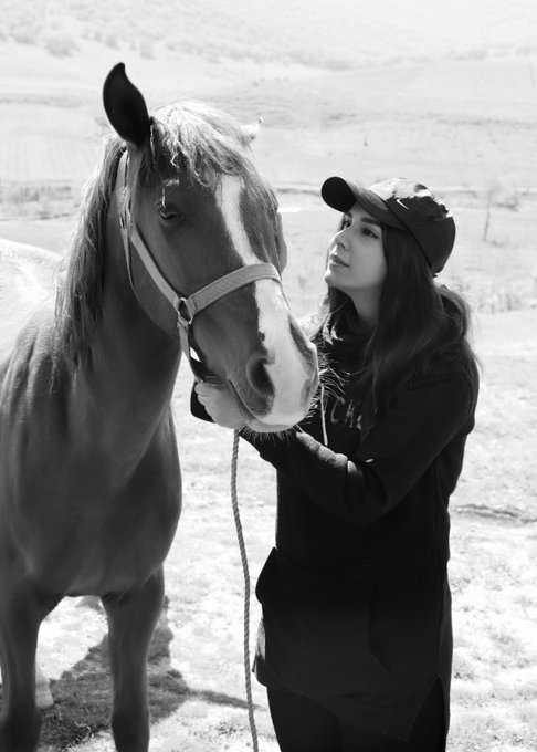 A black and white photograph of a woman wearing a cap and long-sleeved shirt gently holding the bridle of a dark horse in a mountainous outdoor setting.