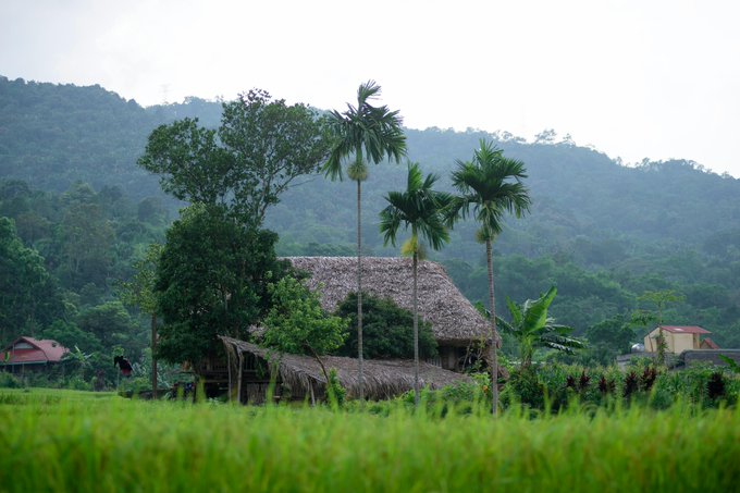 The image shows an old thatched roof hut surrounded by lush green trees, with a mountain range visible in the background. The scene appears to be set in a rural area or a village where traditional architecture can be seen.