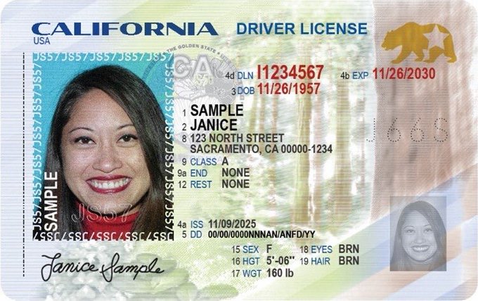 This image shows a sample California driver's license for "Janice Sample" (DLN 11234567, expiring 11/26/2030), complete with the bear and star emblem. It illustrates the post's point about KYC (Know Your Customer) requirements, paradoxically highlighting how such regulations mandate the collection of detailed personal data—name, address, DOB, biometrics—which creates a massive target for identity theft and fraud, ironically endangering the very people these regulations claim to protect.