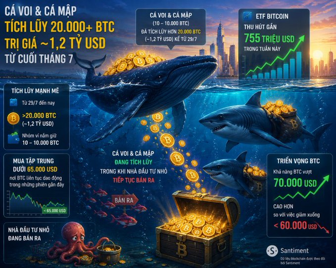A Vietnamese cryptocurrency infographic shows whales and sharks accumulating over 20,000 BTC (~$1.2 billion USD), with text noting Bitcoin's chance to surpass $70,000 USD and a reference to a Bitcoin ETF gaining $775 trillion USD in the week.