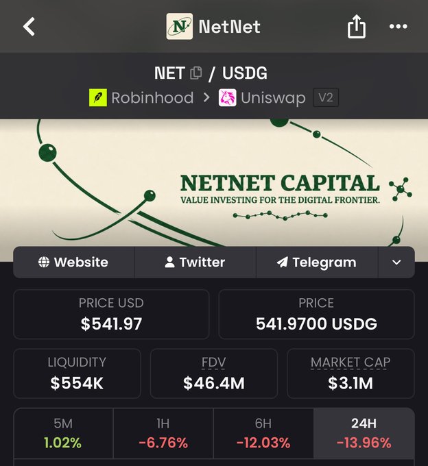 The image shows a crypto tracking app displaying the token "NET" (NetNet) trading at $541.97 USD, with a 24-hour decline of -13.96%, a market cap of $3.1M, and a fully diluted valuation of $46.4M, listed on Robinhood and Uniswap V2. The accompanying post expresses the poster's bold confidence that $NET will reach an all-time high by November, which starkly contrasts with the chart's steep recent downtrend of -6.76% (1H), -12.03% (6H), and -13.96% (24H), highlighting a risky or contrarian bet against the token's short-term bearish momentum.