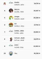 A screenshot of a social media leaderboard showing usernames, post times, and total earnings, with the user 'You' ranked 29th.