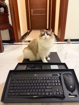 A fluffy calico cat sits attentively behind an unopened box containing a black gaming keyboard and mouse, placed on a marble floor in a home interior.