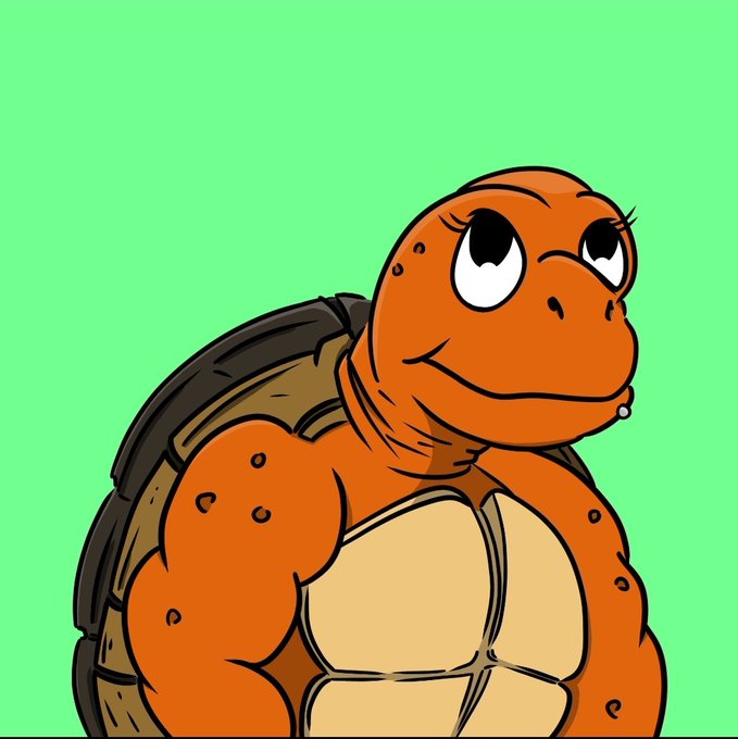 A cartoon turtle with large expressive eyes and long eyelashes smiles against a bright green background.