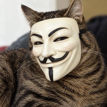 A tabby cat wearing a white Guy Fawkes (Anonymous) mask, with its eyes visible through the mask's openings.