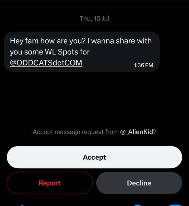 A screenshot shows a message request from "@_AlienKid?" promoting WL spots for @ODDCATSdotCOM, with Accept/Report/Decline options displayed. This aligns with the post noting another ODDCAT Team member proposing spots, raising the question of whether to collect these for subscribers.