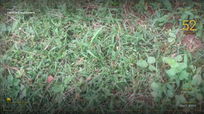 A view of overgrown green grass and weeds with overlaid camera-style graphics including 'verified outdoors', '52', 'TOP 15', 'touch grass', and 'RATE MY REDGREEN' text.