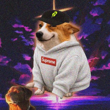 A Doge dog wearing a Supreme hoodie and a black cap with a yellow logo, sitting against a purple cosmic background.