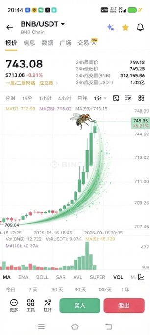 The screenshot shows a BNB/USDT trading chart on Binance with a price of $743.08, featuring a whimsical image of a fruit fly superimposed on the rising green candlestick pattern, directly illustrating the post's tongue-in-cheek suggestion about using fruit flies to influence BNB buying behavior.