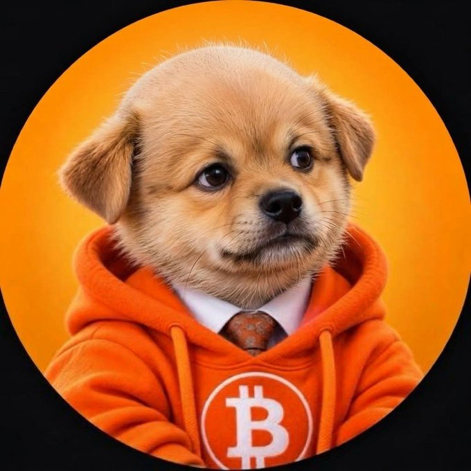 A circular illustration of a small tan puppy wearing an orange hoodie and a tie, with a Bitcoin '₿' symbol displayed on the chest against an orange gradient background.
