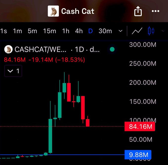A candlestick chart for CASHCAT/WE shows a sharp pump to a peak around 200M followed by a steep decline to 84.16M (-18.53% on the day), with the price now sitting near the highlighted support level of 9.88M, aligning with the post's call for "next support ~9m $CASHCAT."