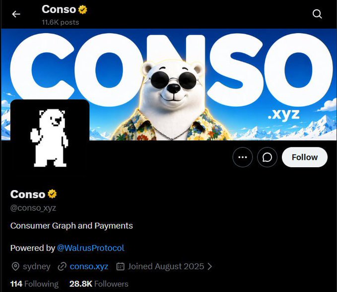 This image shows the X (formerly Twitter) profile page for **@conso_xyz**, a verified account with 11.6K posts, 28.8K followers, and 114 Following. The profile describes it as "Consumer Graph and Payments, Powered by @WalrusProtocol," based in Sydney, with a banner featuring a bear in sunglasses and sunglasses and the text "CONSO.xyz." This is the official Conso account that participants are asked to follow as part of the giveaway contest shown in the post.